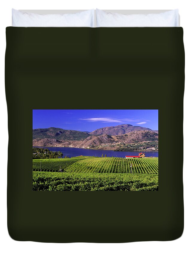 Scenics Duvet Cover featuring the photograph Okanagan Valley Vineyard by Laughingmango