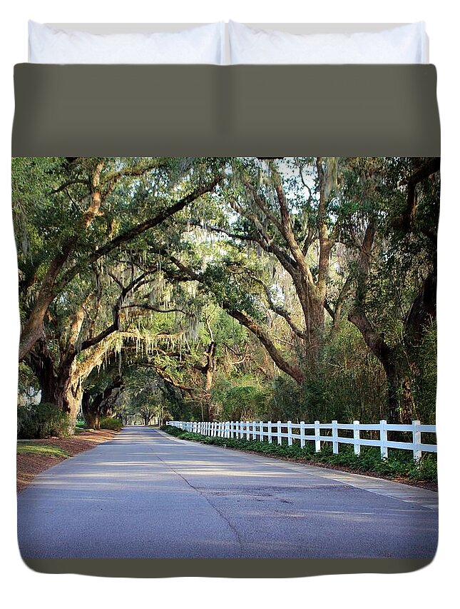 Live Oak Duvet Cover featuring the photograph Old South Live Oaks by Cynthia Guinn