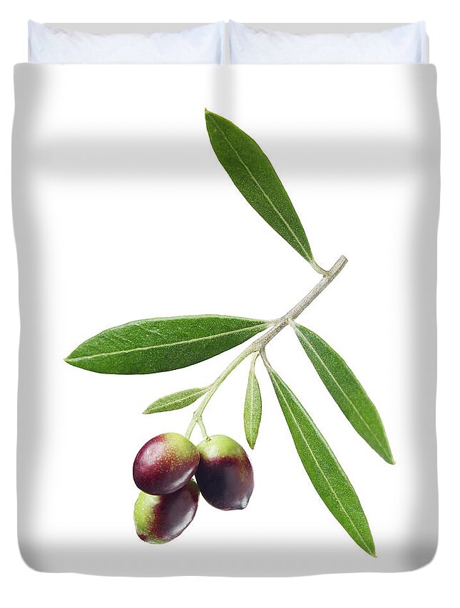 White Background Duvet Cover featuring the photograph Olives On Branch by Lauren Burke