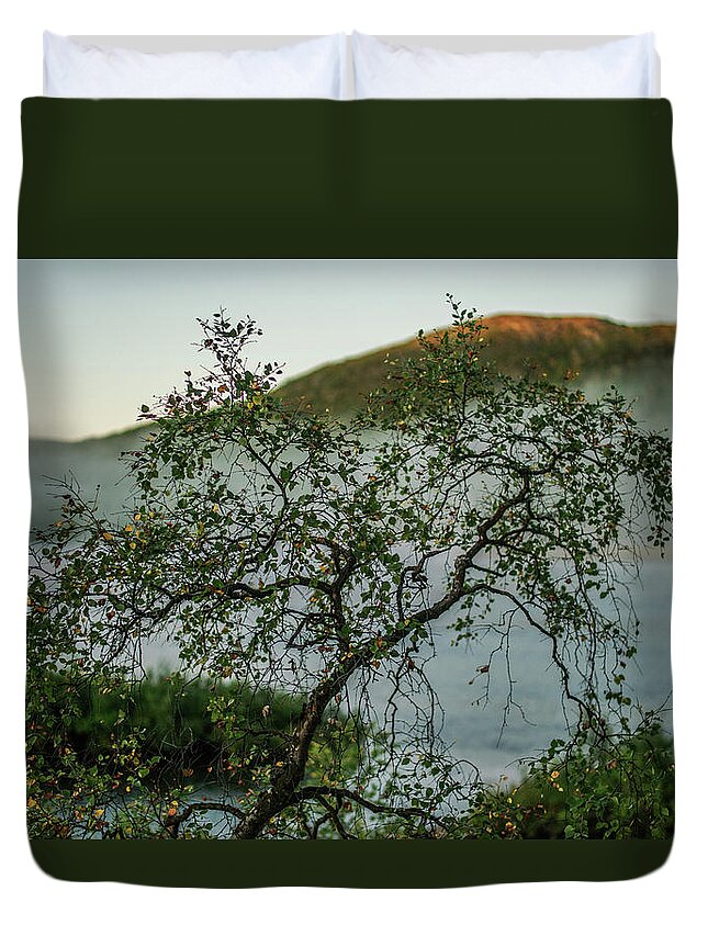 Landscape Duvet Cover featuring the photograph On the misty river bank by Pekka Sammallahti