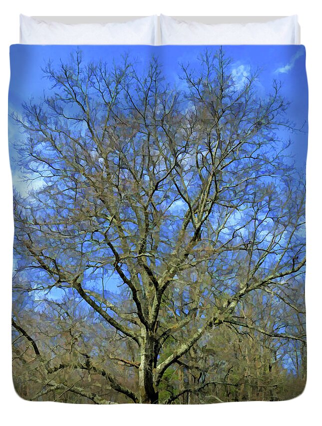 Tree Duvet Cover featuring the photograph Open Arms - Beautiful Bare Branches by Kerri Farley