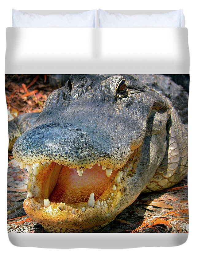 Alligator Duvet Cover featuring the photograph Open Wide by Mark Andrew Thomas