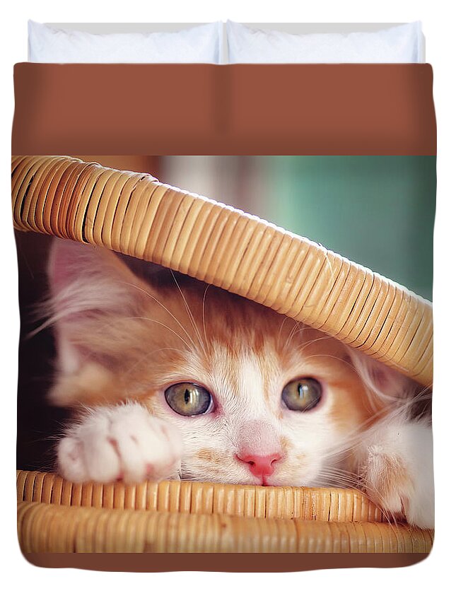 Pets Duvet Cover featuring the photograph Orange And White Kitten In Basket by Sarahwolfephotography