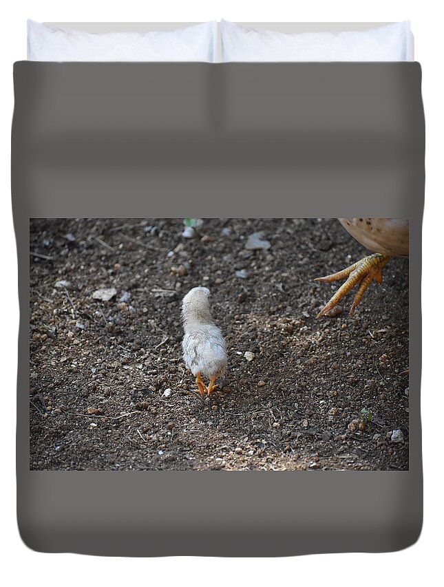 Baby Chick Duvet Cover featuring the digital art Orange Feet by Cassidy Marshall
