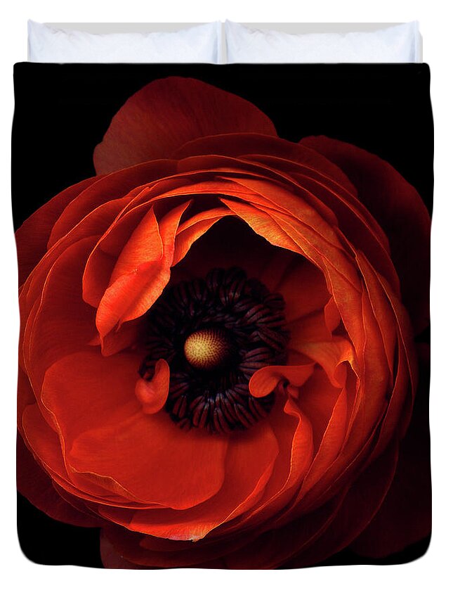 Orange Color Duvet Cover featuring the photograph Orange Ranunculus by Photograph By Magda Indigo