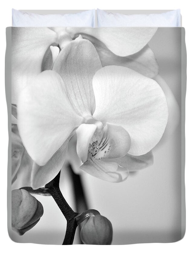 Phalaenopsis Duvet Cover featuring the photograph Orchid Flower in Black and White by Angie Tirado