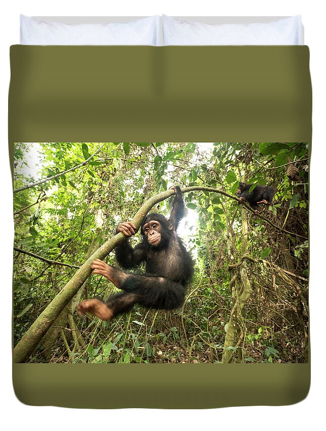 Gerry Ellis Duvet Cover featuring the photograph Orphans Daphne And Larry Climbing by Gerry Ellis
