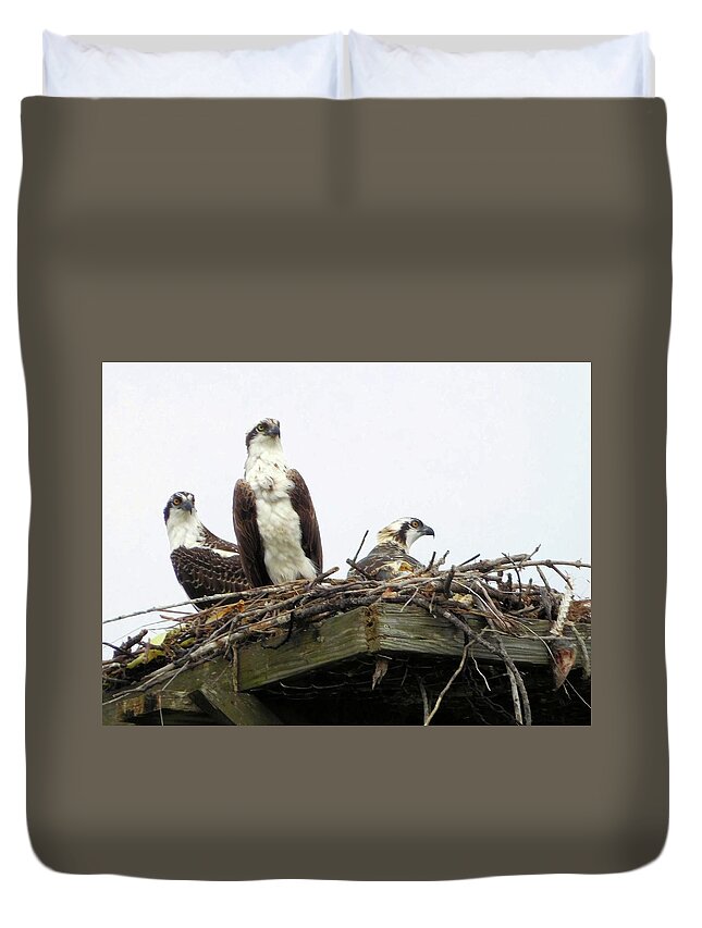 Birds Duvet Cover featuring the photograph Osprey Family by Karen Stansberry
