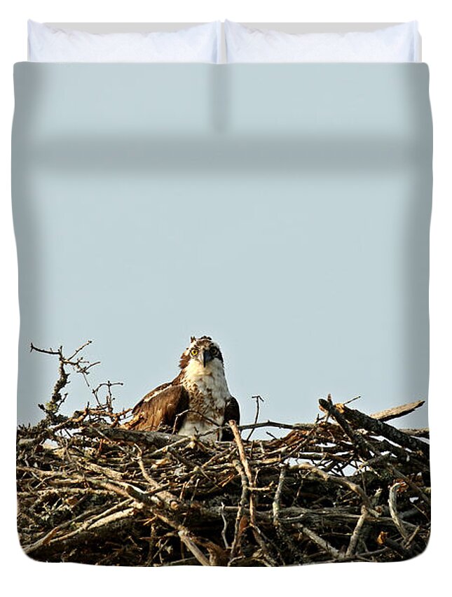 Animal Duvet Cover featuring the photograph Osprey Mom by Heather King