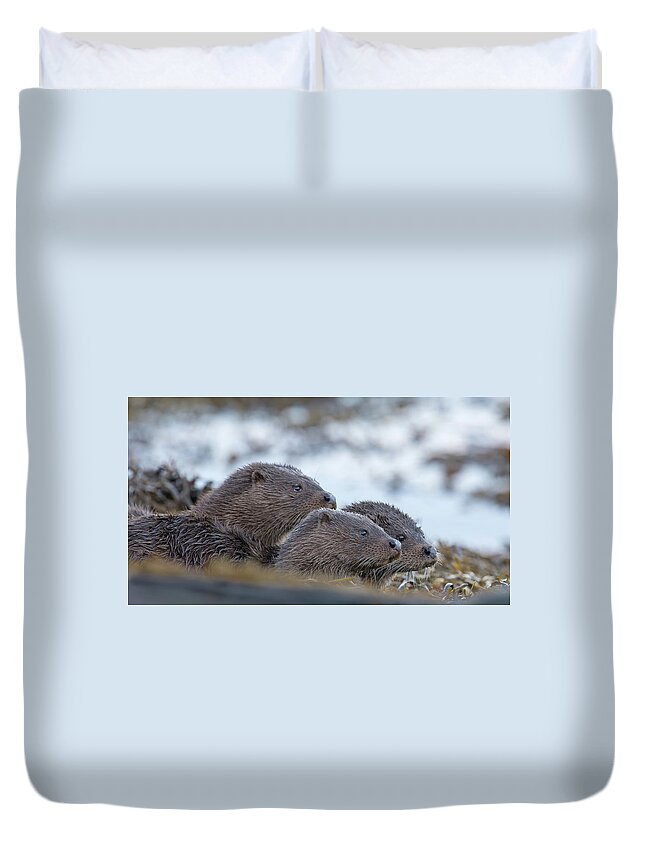 Otter Duvet Cover featuring the photograph Otter Mother With Two Cubs by Pete Walkden