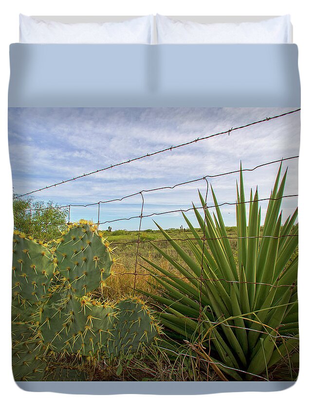 Cactus Duvet Cover featuring the photograph Outside Brownsville by Robert Och