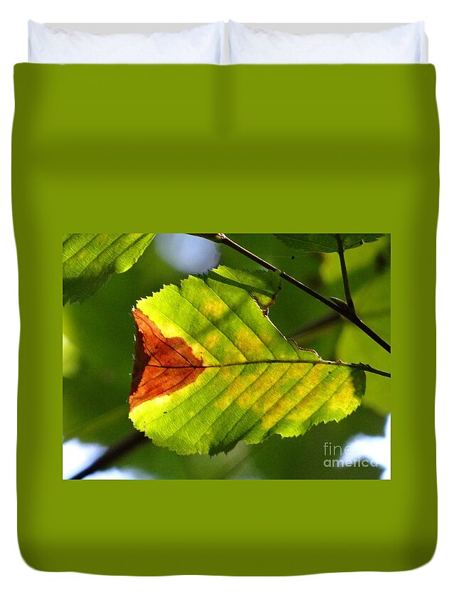 Leaf Duvet Cover featuring the photograph Outstanding leaf by Karin Ravasio