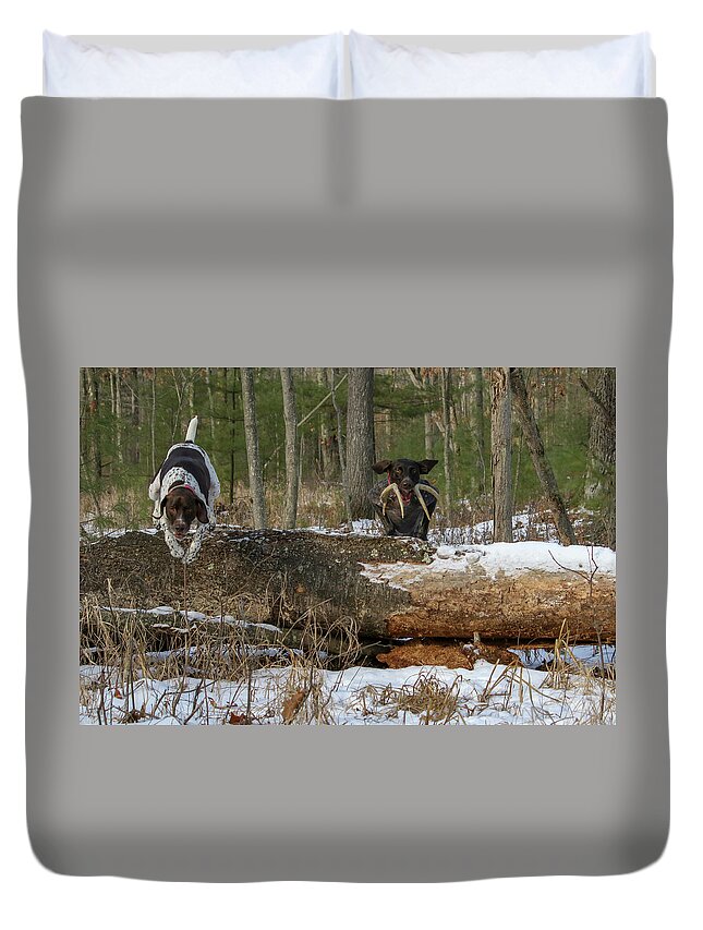 Gsp Duvet Cover featuring the photograph Over the Log by Brook Burling