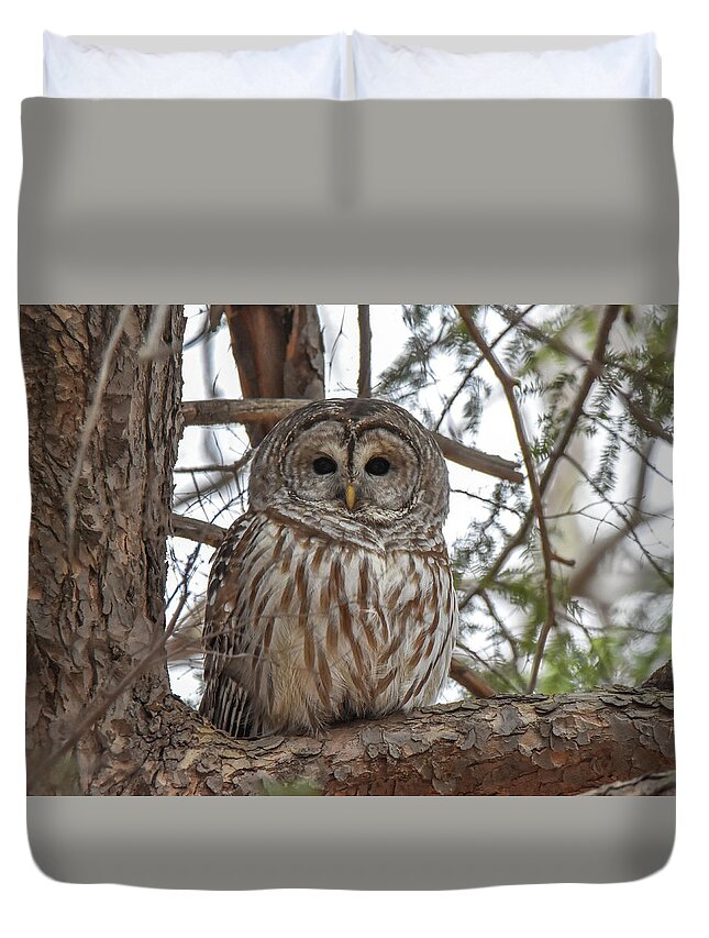 Owl Duvet Cover featuring the photograph Owl in Tree by Michelle Wittensoldner