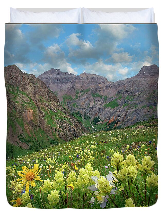 00555598 Duvet Cover featuring the photograph Paintbrush, Governor Basin, Colorado by Tim Fitzharris