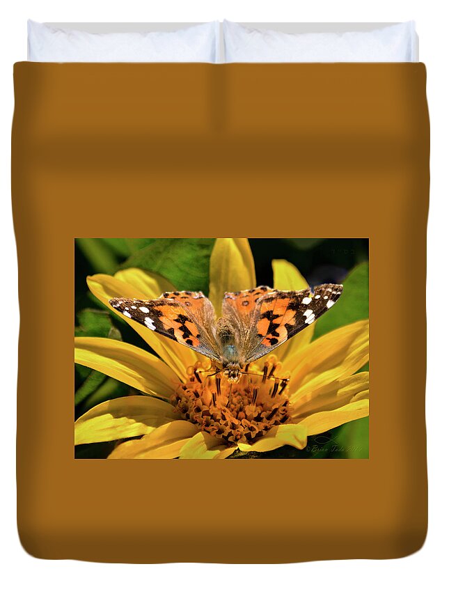Butterfly Duvet Cover featuring the photograph Painted Lady Butterfly and Mules Ears Wildflower by Brian Tada