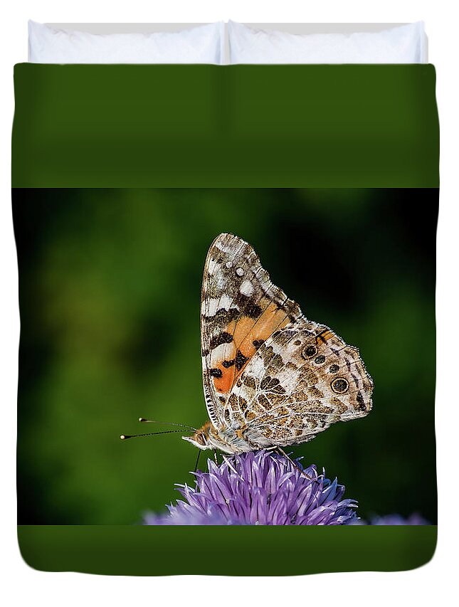 Painted Lady Iii Duvet Cover featuring the photograph Painted Lady III by Torbjorn Swenelius