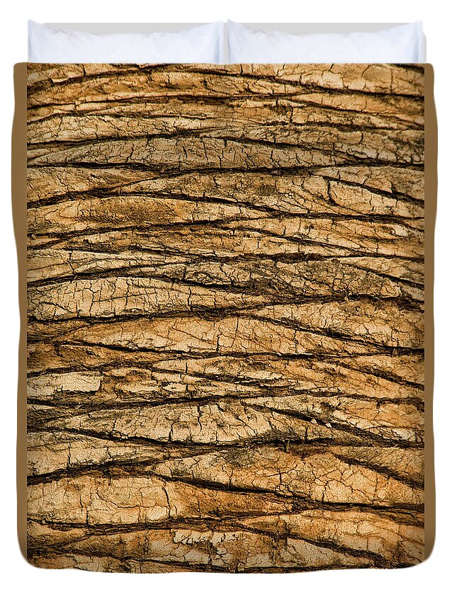 Toughness Duvet Cover featuring the photograph Palm Tree Trunk Close-up by Brian Stablyk