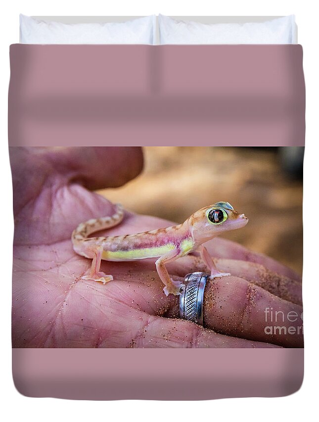 Gecko Duvet Cover featuring the photograph Palmato gecko, Namib Desert by Lyl Dil Creations