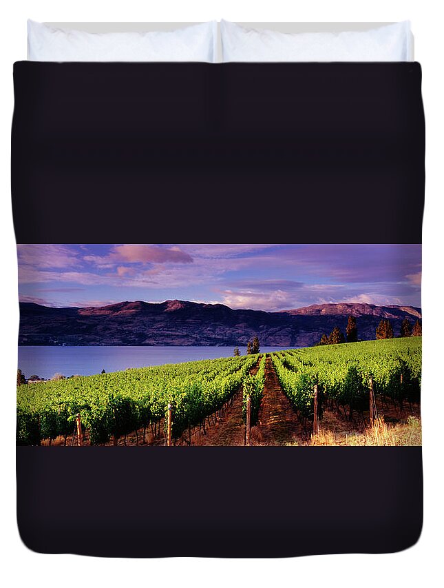 Scenics Duvet Cover featuring the photograph Panoramic Vineyards Kelowna by Jason v
