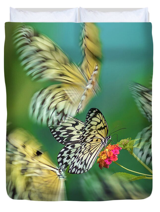 00581355 Duvet Cover featuring the photograph Paper Kite Butterflies Flying, Philippines by Tim Fitzharris