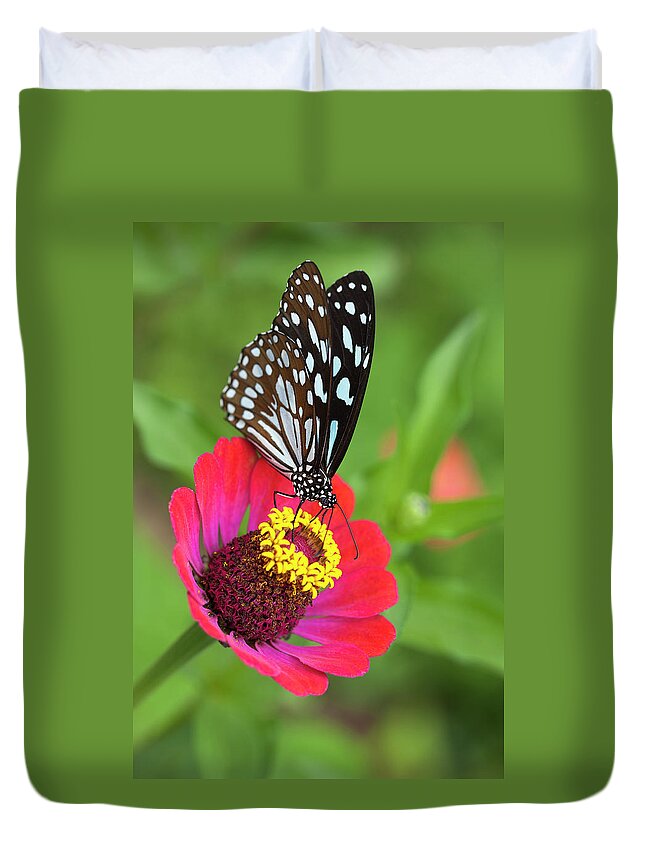 Nature Duvet Cover featuring the photograph Paper Kite Butterfly On A Wild Flower by Enviromantic
