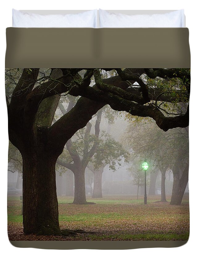 Spooky Duvet Cover featuring the photograph Park With Fog by Tony Sweet