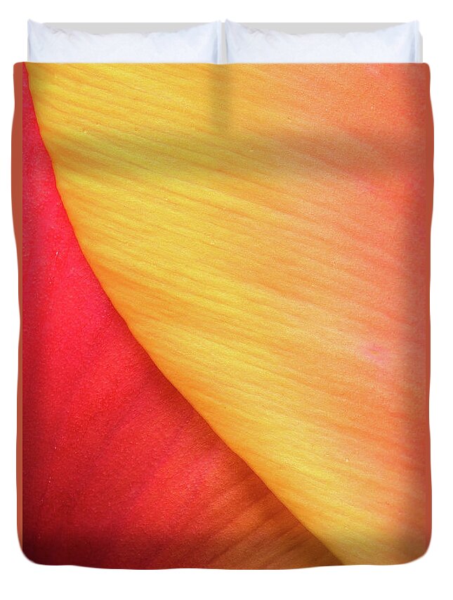 Tulip Duvet Cover featuring the photograph Pastel Curve by Michael Hubley