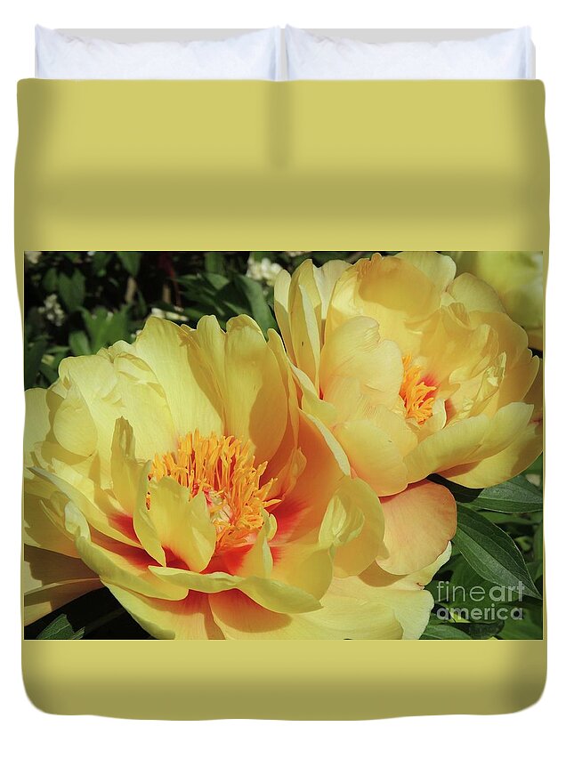 Flower Duvet Cover featuring the photograph Peach Peonies by Julie Rauscher