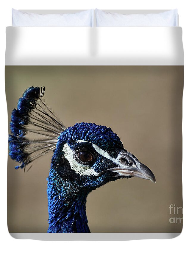 Peacock Duvet Cover featuring the photograph Peacock Headshot by Robert WK Clark