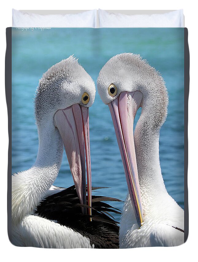 Pelican Love Duvet Cover featuring the digital art Pelican love 06163 by Kevin Chippindall