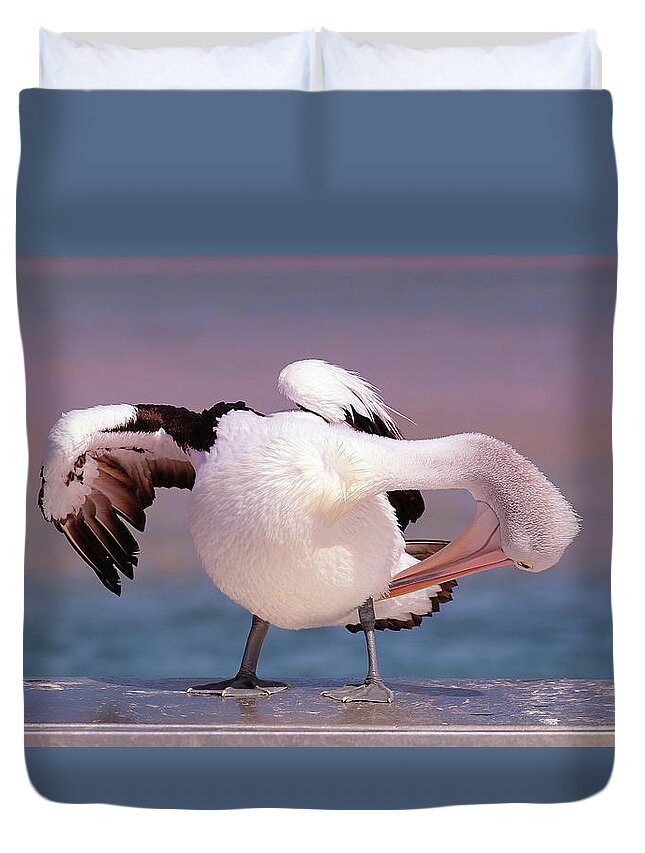 Pelicans Duvet Cover featuring the digital art Pelican show off 05 by Kevin Chippindall