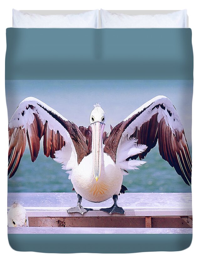Pelicans Duvet Cover featuring the digital art Pelican wings of beauty 9724 by Kevin Chippindall