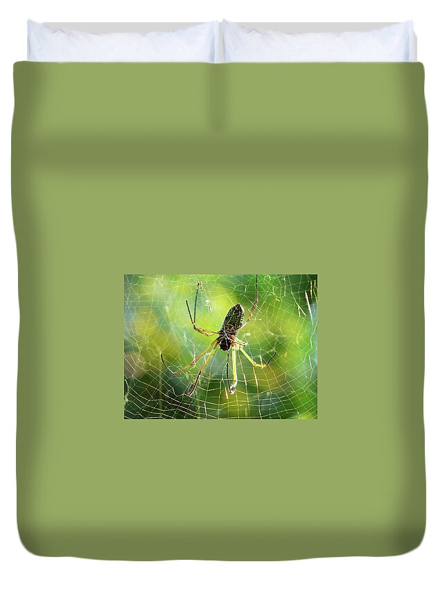 Animal Themes Duvet Cover featuring the photograph Peru Amazon Spider by Photo, David Curtis