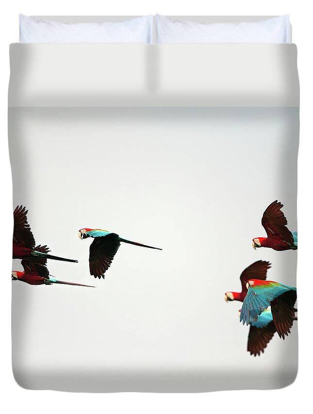 Unesco Duvet Cover featuring the photograph Peru, Red And Green Macaws Flying by Frans Lemmens