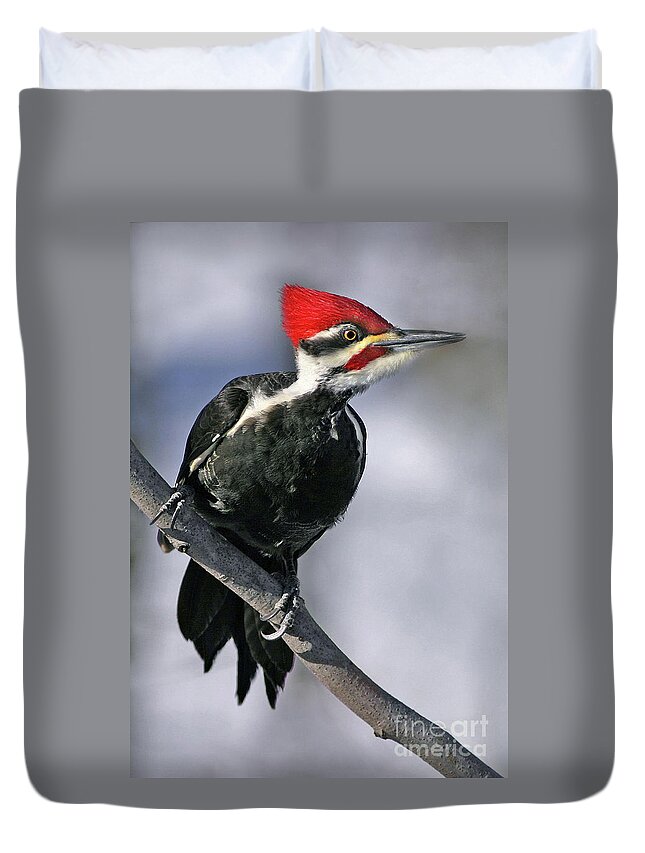 Pileated Woodpecker Duvet Cover featuring the photograph Pileated Woodpecker by Art Cole