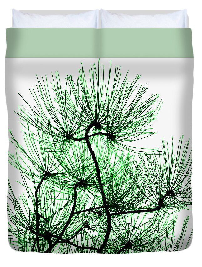Top Artist Duvet Cover featuring the photograph Pine Needles in Black and Green by Norman Gabitzsch