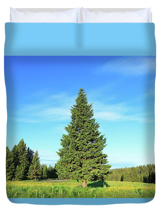 Scenics Duvet Cover featuring the photograph Pine Tree In Spring by Borchee