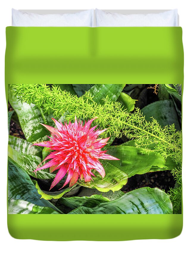 Pink Duvet Cover featuring the photograph Pink and Green Flowers by James C Richardson