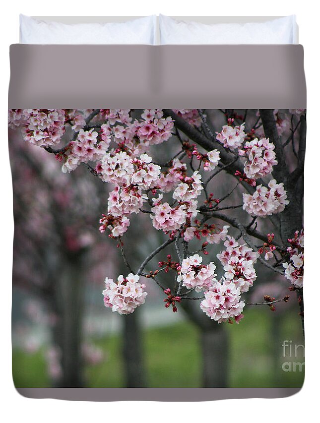 Misty Duvet Cover featuring the photograph Pink Blossoms in Foreground at Reagan Library 2 by Colleen Cornelius