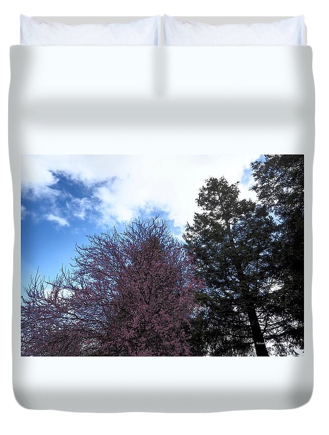 Winter Duvet Cover featuring the photograph Pink Blossoms In Winter by Richard Thomas