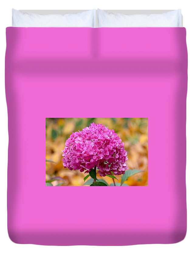 Close-up Duvet Cover featuring the photograph Pink Bouquet by Susan Rydberg