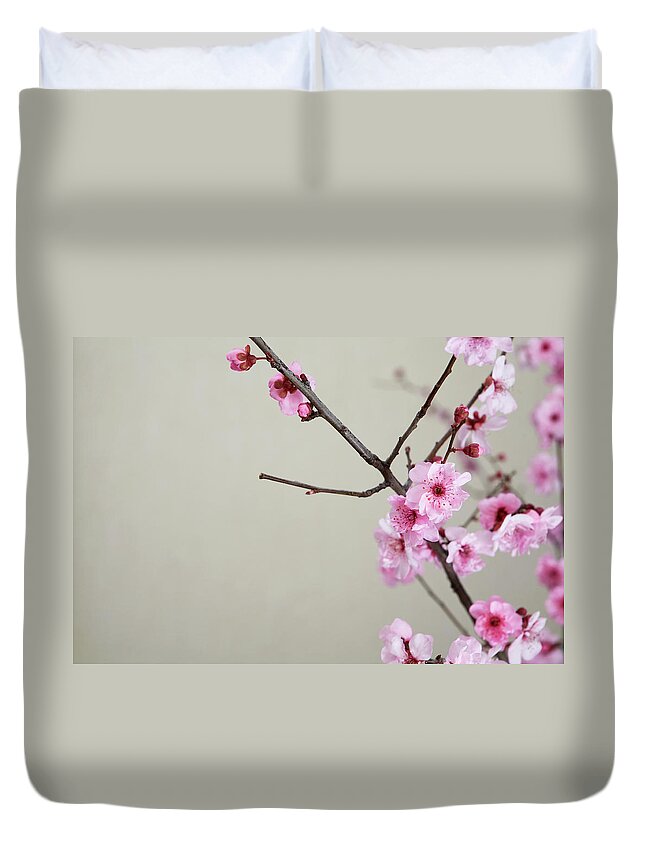 Celebration Duvet Cover featuring the photograph Pink Cherry Blossoms by Felixr