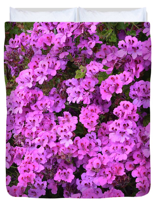 Pink Duvet Cover featuring the photograph Pink Geranium, Oakland, California by Brian Tada