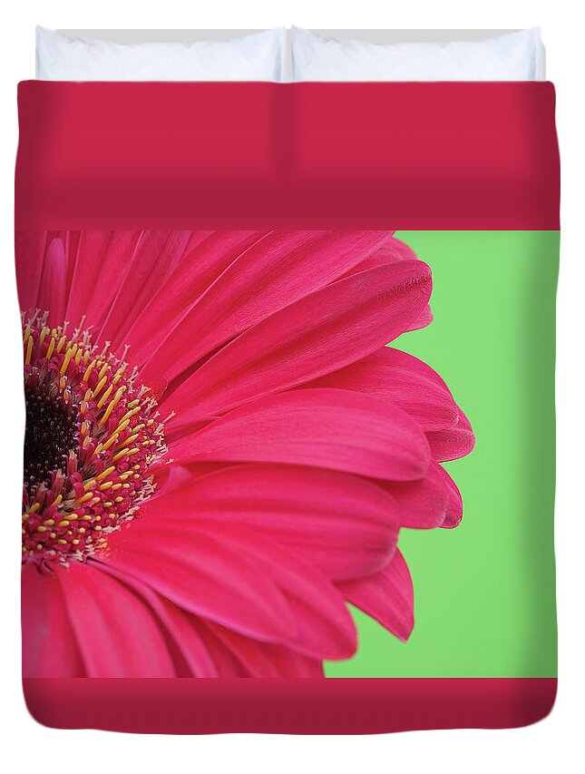 Petal Duvet Cover featuring the photograph Pink Gerbera by Kim Haddon Photography