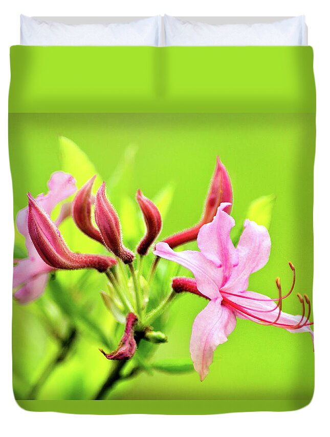 Honeysuckle Duvet Cover featuring the photograph Pink Honeysuckle Flowers by Christina Rollo