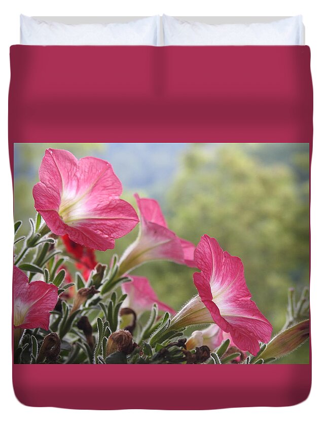 Pink Petunias Duvet Cover featuring the photograph Pink Petunias by Kathy Chism