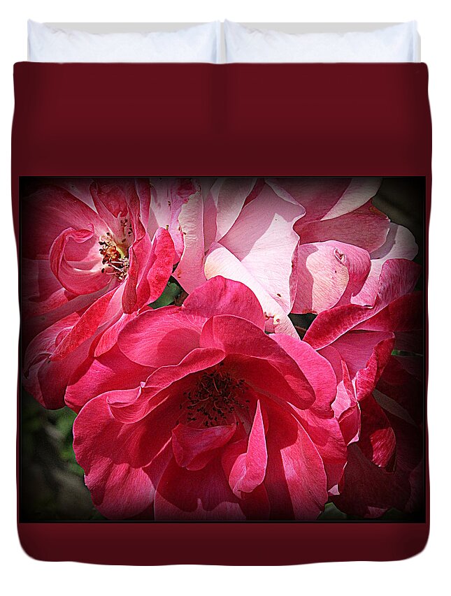 Nature Duvet Cover featuring the photograph Pink Roses for Valentine's by Dora Sofia Caputo