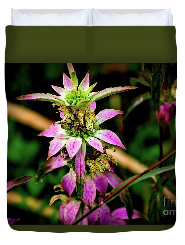 Pink Duvet Cover featuring the photograph Pink Wildflower by William Norton