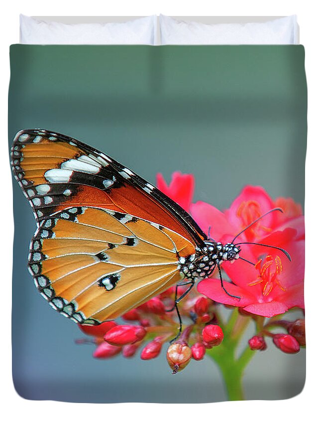 Bangkok Duvet Cover featuring the photograph Plain Tiger or African Monarch Butterfly DTHN0246 by Gerry Gantt